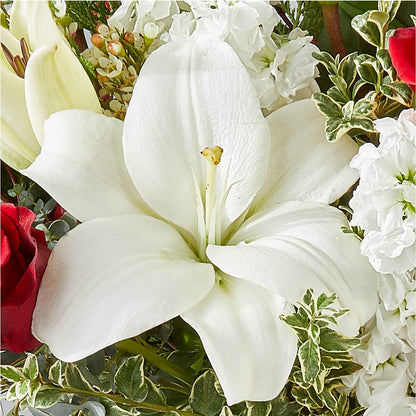Twinkle Lights Bouquet – ROBIN'S CORNER FLOWER SHOP, Taunton MA
