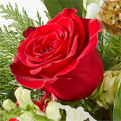 Deck the Halls Bouquet – ROBIN'S CORNER FLOWER SHOP, Taunton MA