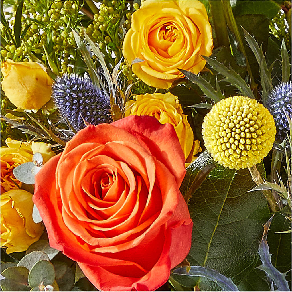 Disco Bouquet – ROBIN'S CORNER FLOWER SHOP, Taunton MA