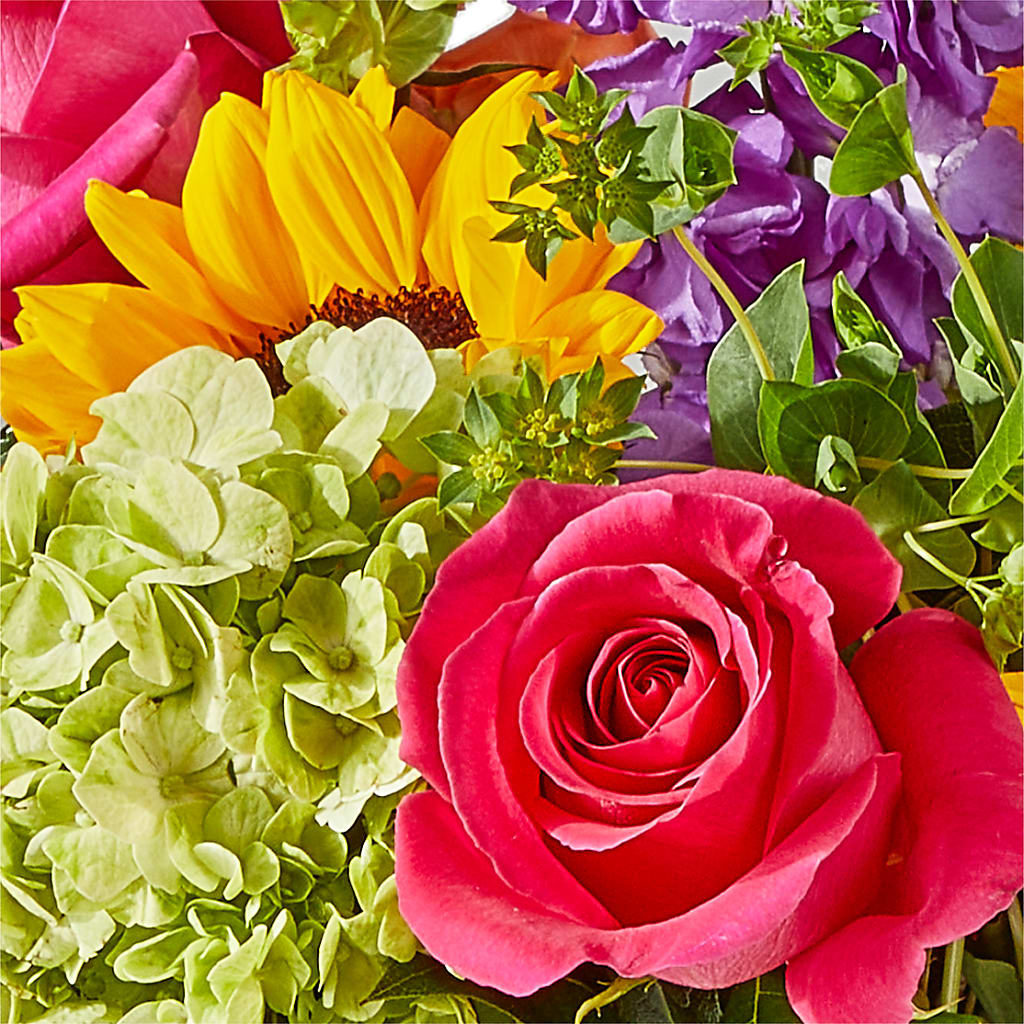 Vibrant Greetings Bouquet – ROBIN'S CORNER FLOWER SHOP, Taunton MA