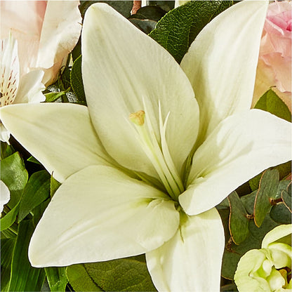 Ballet Slippers Bouquet – ROBIN'S CORNER FLOWER SHOP, Taunton MA