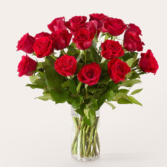 The One Red Rose Bouquet – ROBIN'S CORNER FLOWER SHOP, Taunton MA