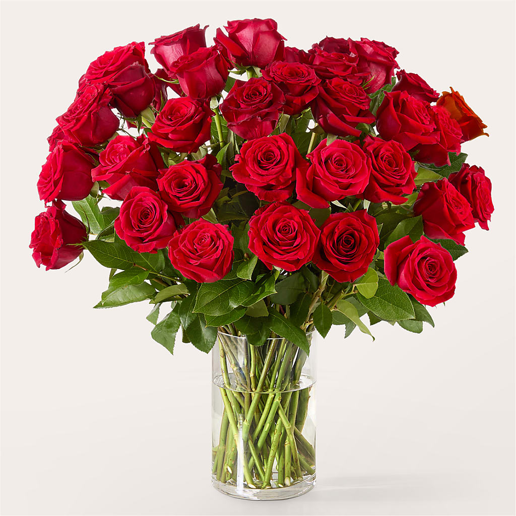 The One Red Rose Bouquet – ROBIN'S CORNER FLOWER SHOP, Taunton MA