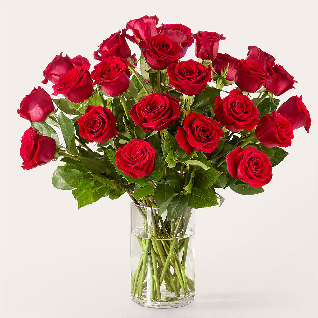 The One Red Rose Bouquet – ROBIN'S CORNER FLOWER SHOP, Taunton MA