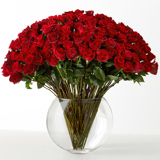 The Idealist – ROBIN'S CORNER FLOWER SHOP, Taunton MA
