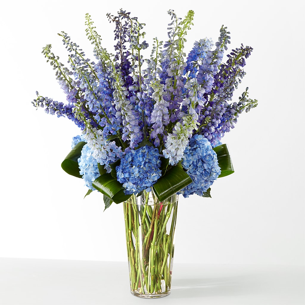 The Editorial – ROBIN'S CORNER FLOWER SHOP, Taunton MA