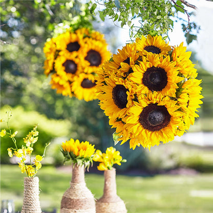 Sublime Garden Hanging Arrangement – ROBIN'S CORNER FLOWER SHOP, Taunton MA