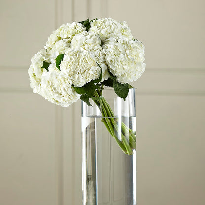 White Hydrangea Hand-Tied Bouquet – ROBIN'S CORNER FLOWER SHOP, Taunton MA
