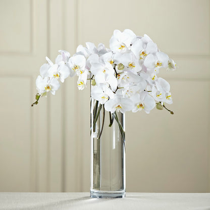 White Phalaenopsis Bouquet – ROBIN'S CORNER FLOWER SHOP, Taunton MA