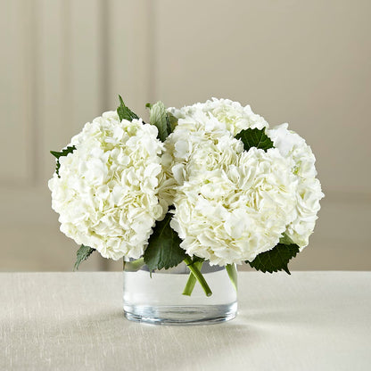 White Hydrangea Bouquet – ROBIN'S CORNER FLOWER SHOP, Taunton MA